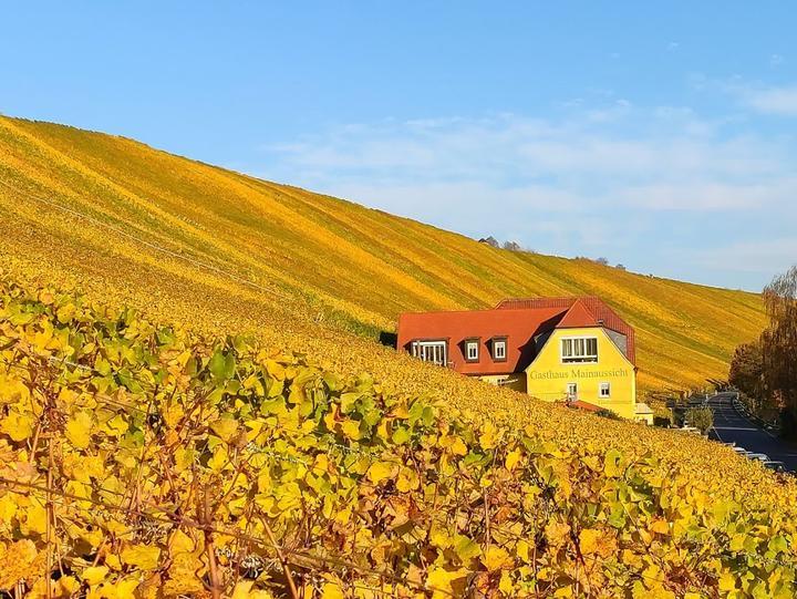 Zur Mainaussicht